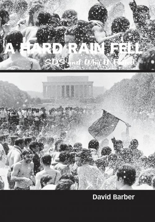 Cover of the book A Hard Rain Fell by David Barber, University Press of Mississippi