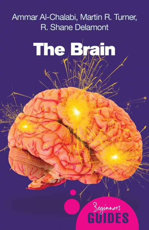 Cover of the book The Brain by Ammar Al-Chalabi, R. Shane Delamont, Martin R. Turner, Oneworld Publications
