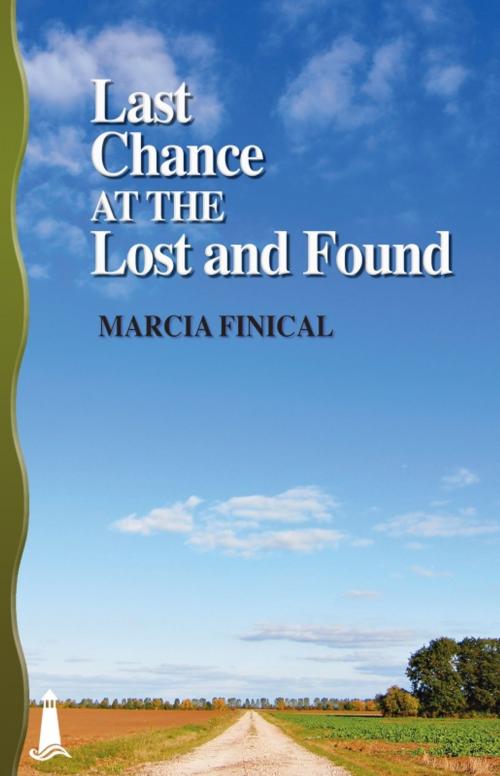 Cover of the book Last Chance at the Lost and Found by Marcia Finical, Bywater Books