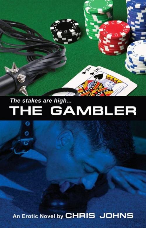 Cover of the book The Gambler by Chris Johns, STARbooks Press