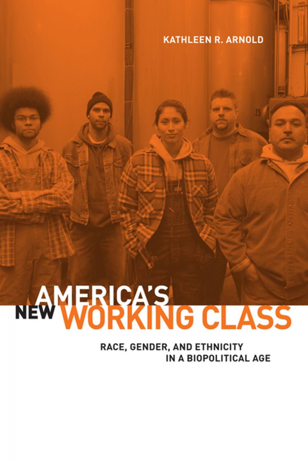 Big bigCover of America's New Working Class