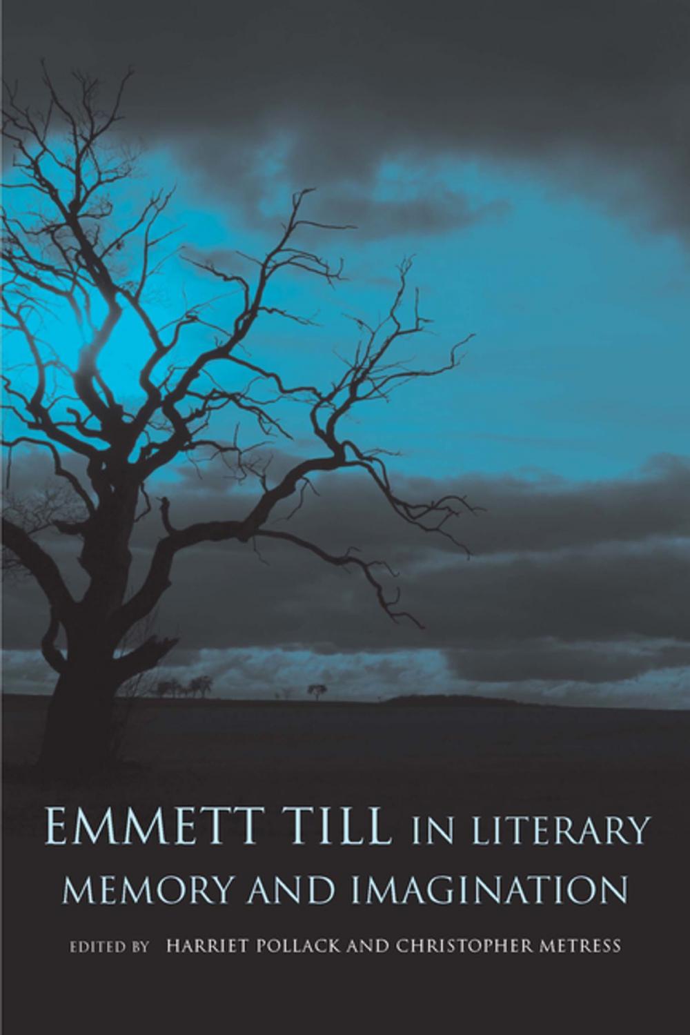Big bigCover of Emmett Till in Literary Memory and Imagination