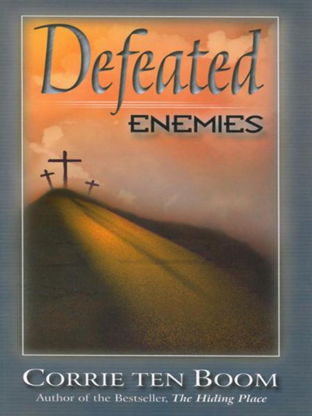 Big bigCover of Defeated Enemies