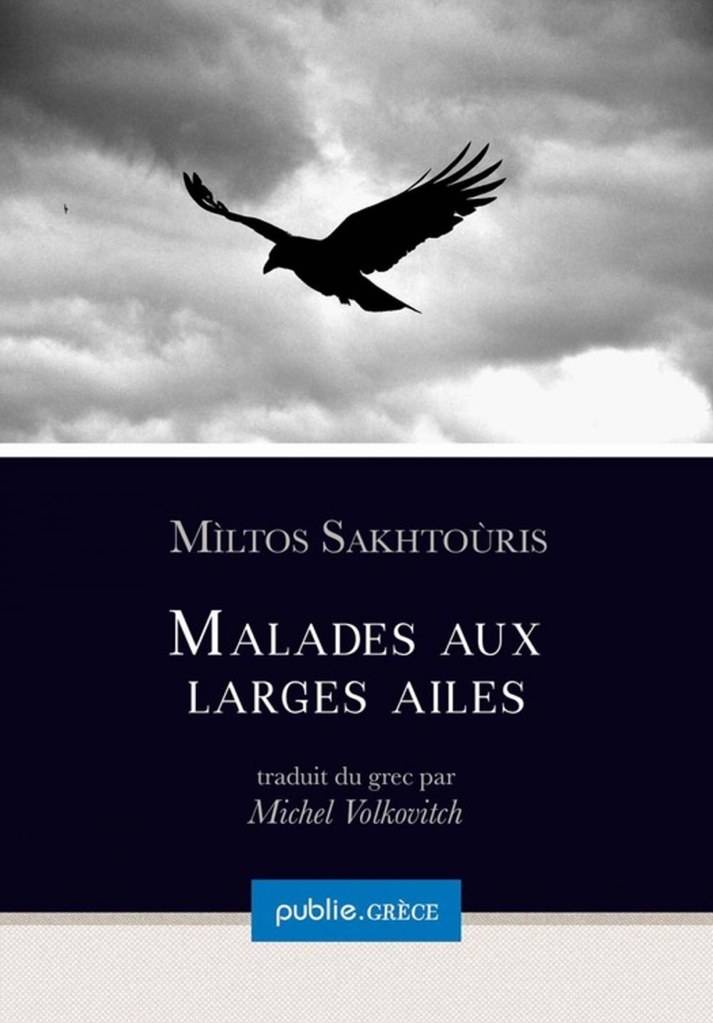 Big bigCover of Malades aux larges ailes