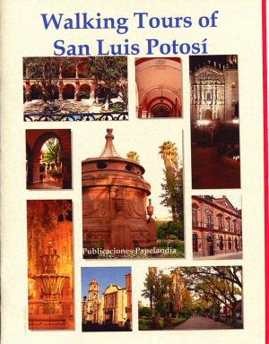 Book cover of Walking Tours of San Luis Potosi