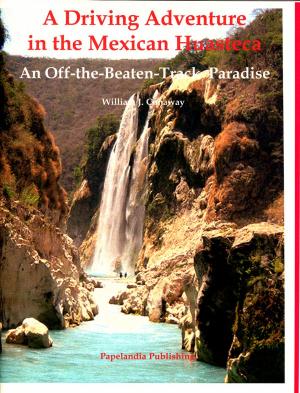 Book cover of A Driving Adventure in the Mexican Huasteca