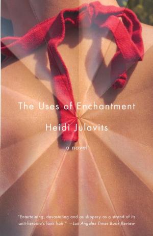 Cover of the book The Uses of Enchantment by George V. Higgins