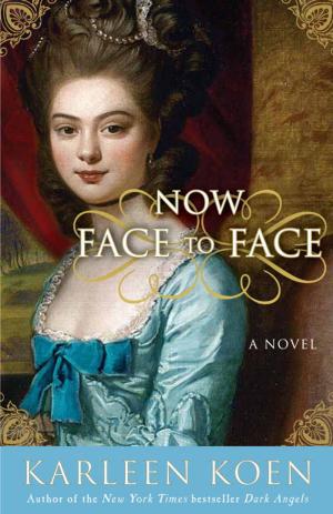Cover of the book Now Face to Face by Claudia Dain