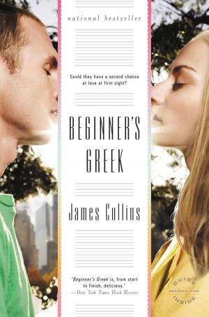 Cover of the book Beginner's Greek by Paul Bogard
