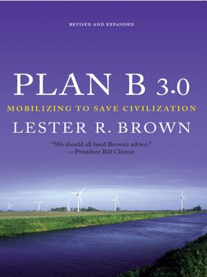 bigCover of the book Plan B 3.0: Mobilizing to Save Civilization (Substantially Revised) by 