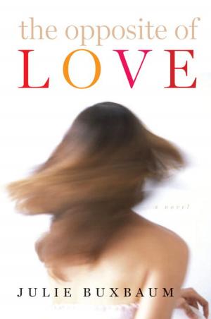 Book cover of The Opposite of Love