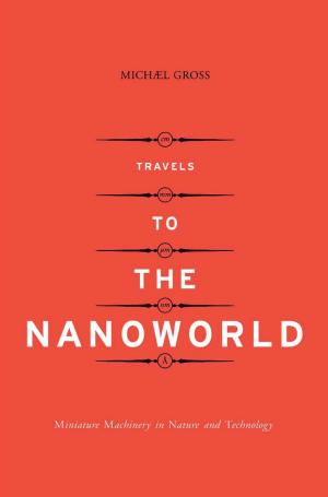 Cover of the book Travels To The Nanoworld by Zeeya Merali