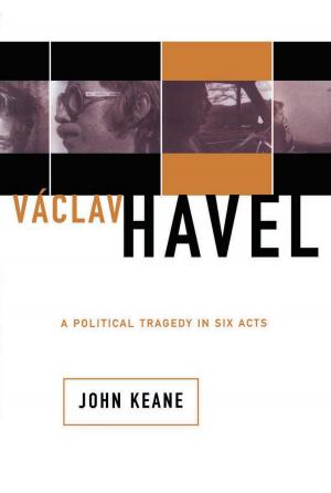 bigCover of the book Vaclav Havel by 