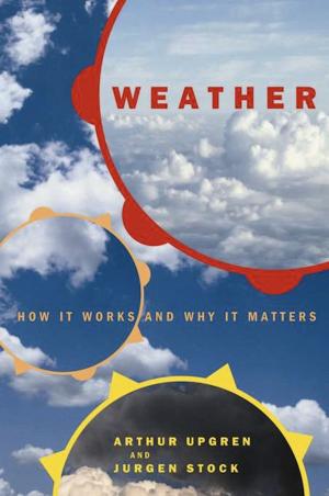 Cover of the book Weather by Adam Bradley