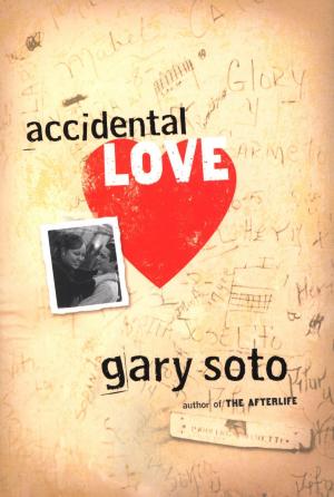 Cover of the book Accidental Love by Arthur M. Schlesinger Jr.