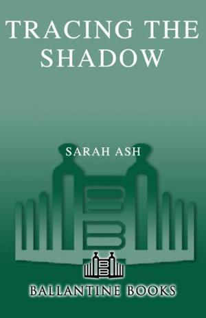 Cover of the book Tracing the Shadow by S.R. PELTIER