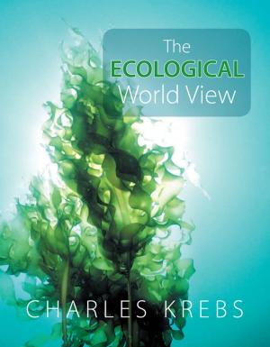 Cover of the book The Ecological World View by Damian Michael, David Lindenmayer