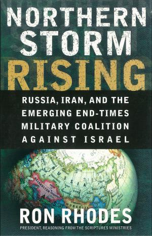 Cover of the book Northern Storm Rising by Jerry S. Eicher
