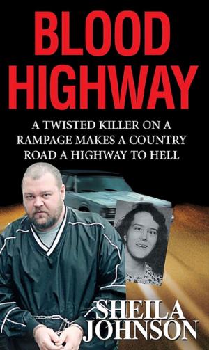 Cover of the book Blood Highway by Michael Hiebert