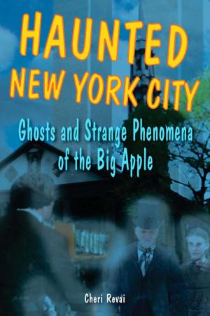 Cover of the book Haunted New York City by Wayne Luallen