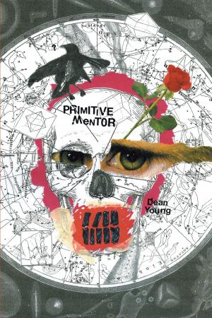 Cover of the book Primitive Mentor by Mitch Fairchild