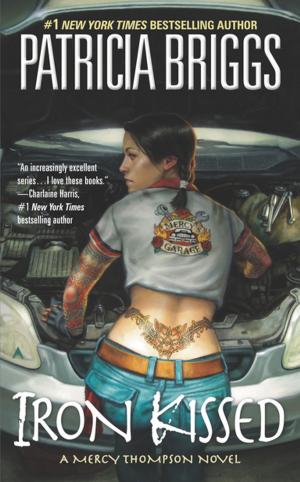 Cover of the book Iron Kissed by Melissa Szydlek