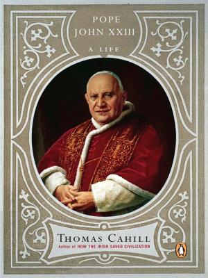 Cover of the book Pope John XXIII by Meg Rosoff
