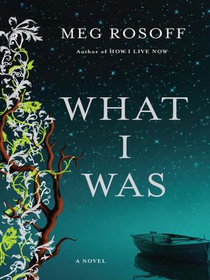 Cover of the book What I Was by Juliet Marillier
