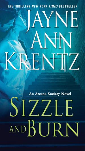 Cover of the book Sizzle and Burn by Kevin Flynn, Rebecca Lavoie
