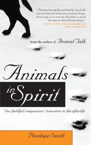Cover of the book Animals in Spirit by Brooke Hauser