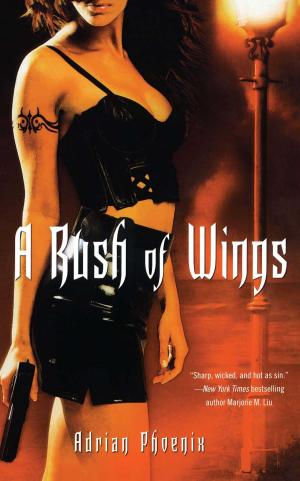 Cover of the book A Rush of Wings by Catherine Mulvany
