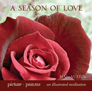 Cover of the book A Season of Love by Karen Halvorsen Schreck