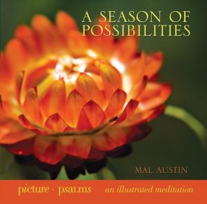 Cover of the book A Season of Possibilities by Ptolemy Tompkins, Bernard Haisch