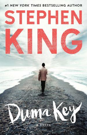 bigCover of the book Duma Key by 