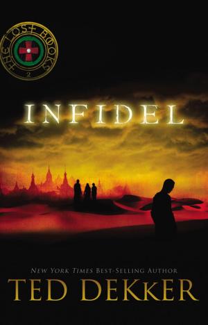Cover of the book Infidel by Franklin Graham
