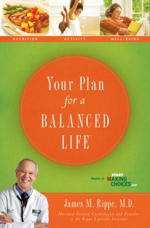 Cover of the book Your Plan For a Balanced Life by Leonard Sweet, Frank Viola