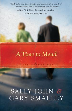 Cover of the book A Time to Mend by Realbuzz Studios