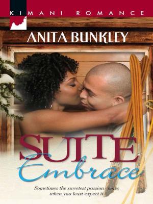 Cover of the book Suite Embrace by Karen Kirst