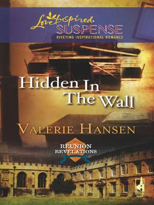 Cover of the book Hidden in the Wall by Elaine Barbieri