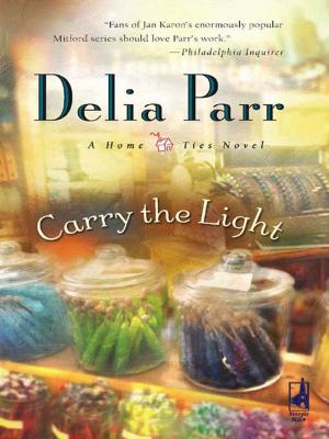 Cover of the book Carry the Light by Jenna Mindel