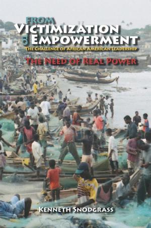 bigCover of the book From Victimization to Empowerment by 