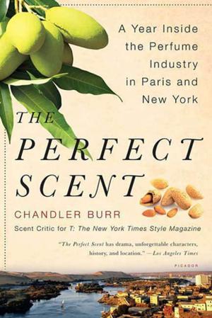 Cover of the book The Perfect Scent by Noam Chomsky