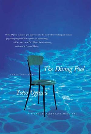 Book cover of The Diving Pool