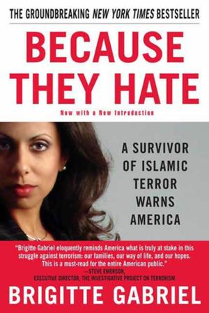 Cover of the book Because They Hate by David Rosenfelt