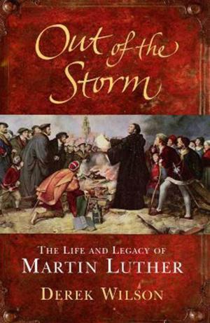 Cover of the book Out of the Storm by Kitty French