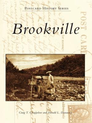 Cover of the book Brookville by Gary D. Joiner, Ernie Roberson