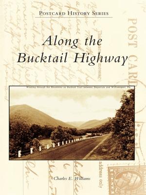 Book cover of Along the Bucktail Highway