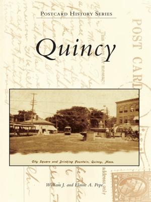 Cover of the book Quincy by Pat Morrison