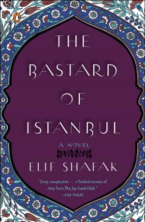 Cover of the book The Bastard of Istanbul by Jake Logan