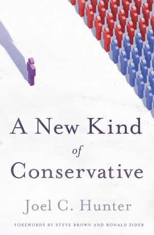 Cover of the book A New Kind of Conservative by Davis Bunn